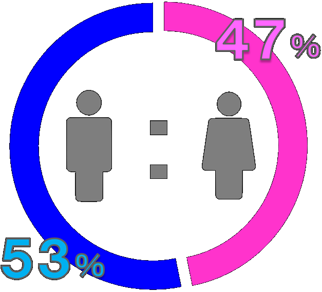 男女比率